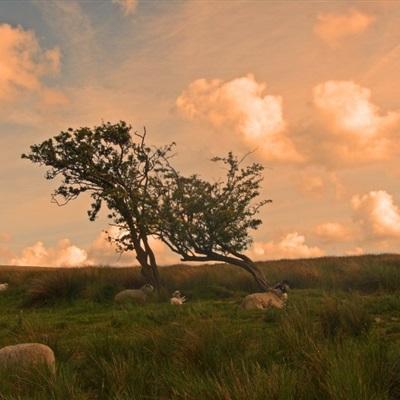 澳门正版资料大全下载手机版