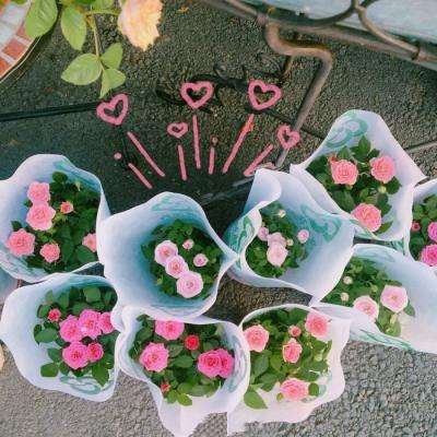 博鱼app体育官方正版下载