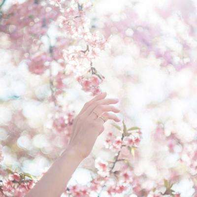 pg麻将胡了下载